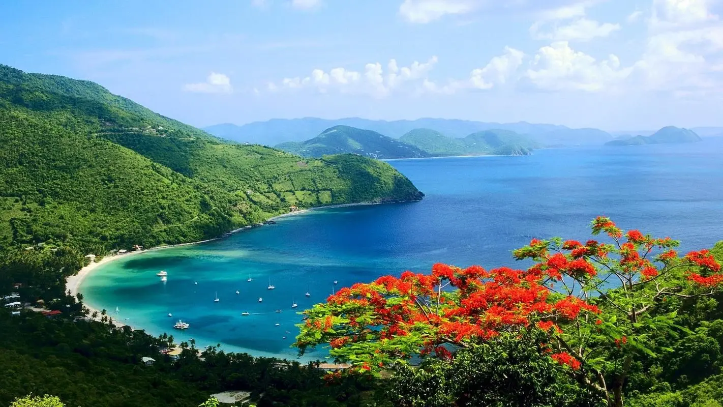 高精度高性能高质量